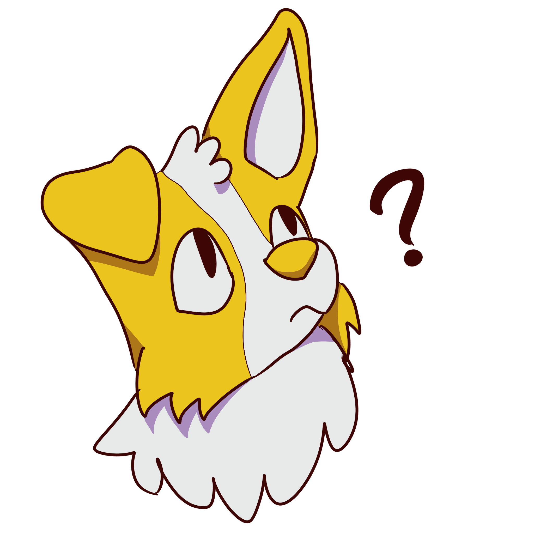 a yellow dog looking confused with a question mark